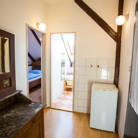 Guest house Ctrnactka